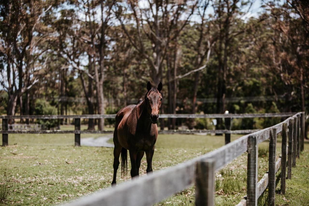 Worrowing Jervis Bay Huskisson Exterior foto