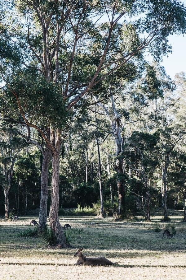 Worrowing Jervis Bay Huskisson Exterior foto